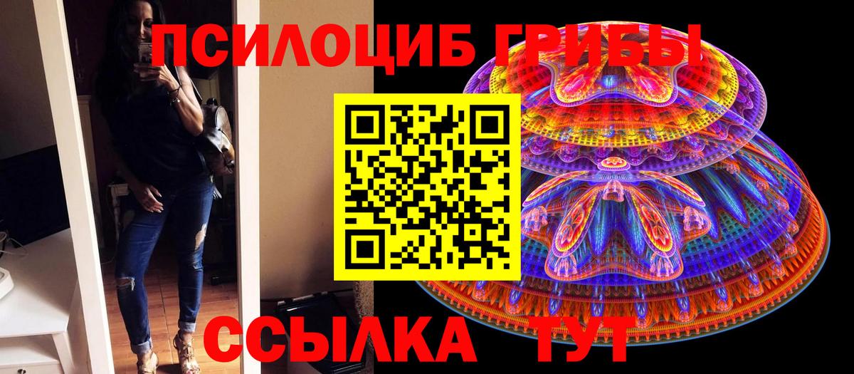 Галлюциногенные грибы Psilocybine cubensis  Псилоцибиновые грибы Cubensis  Красноуфимск  Вход с VPN 